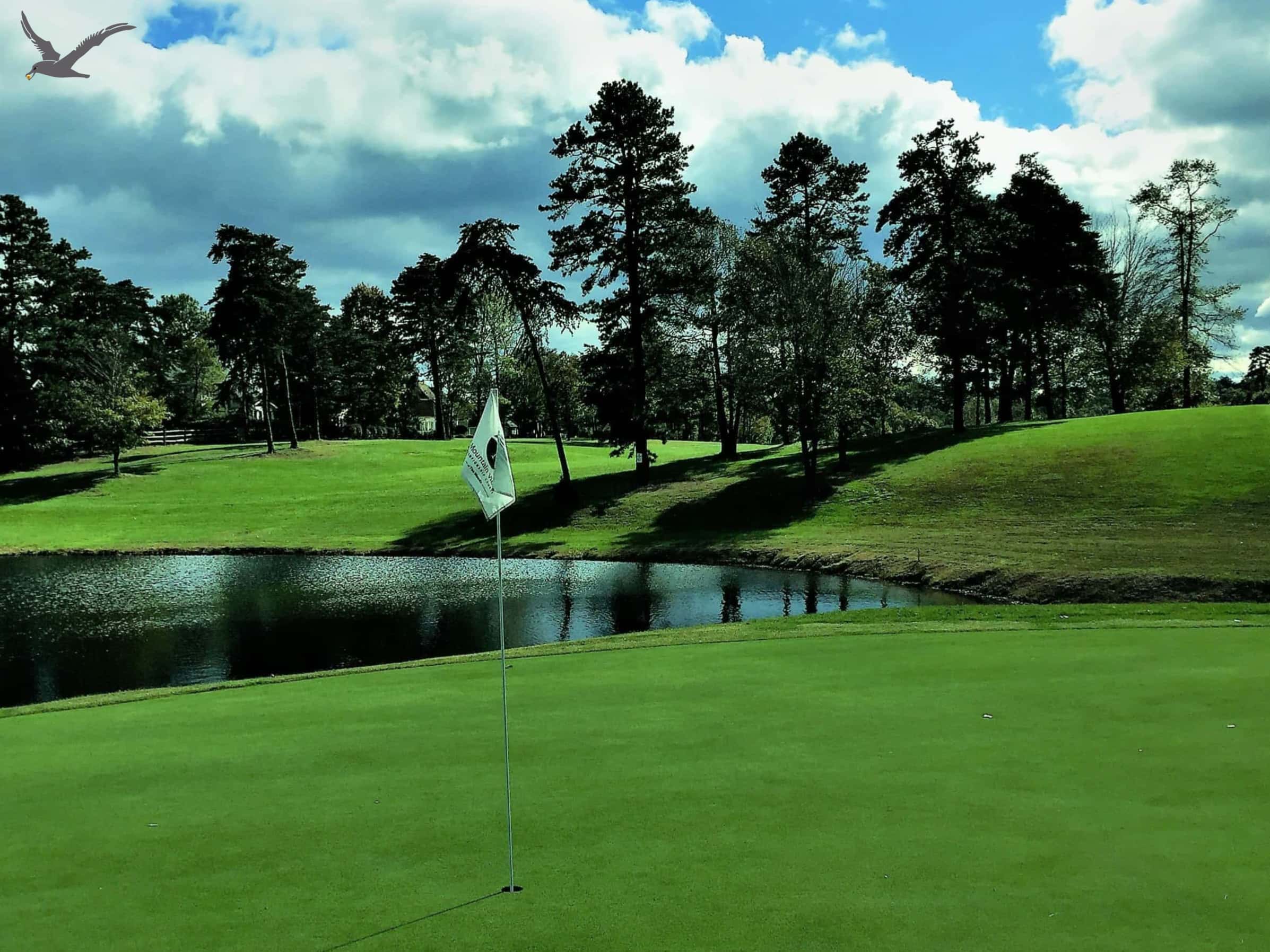 ఆల్బాట్రాస్ క్రీడలు: కౌన్ గోల్ఫ్‌కు 10 వేగవంతమైన వాస్తవాలు (పార్ట్ 1)